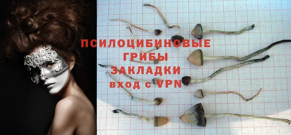 героин Вяземский